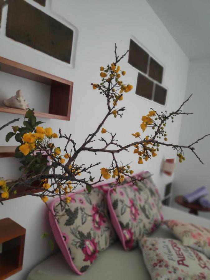 Anacardium 招待所